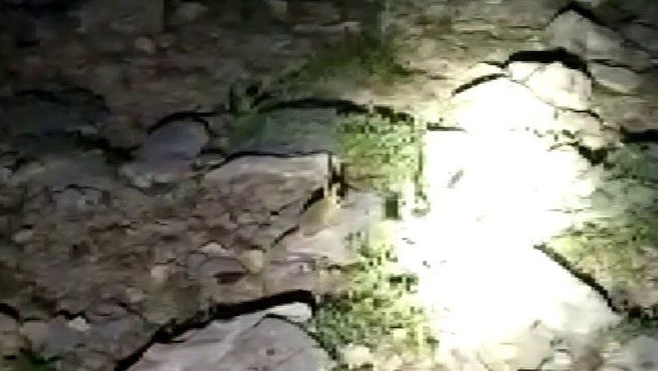 Daha önce böylesi görülmedi! Yolda yürürken karşısına çıktı 3