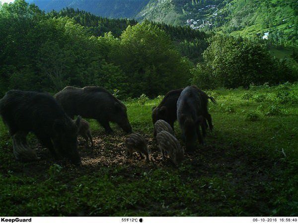 Daha önce böylesi görülmedi! Yolda yürürken karşısına çıktı 9