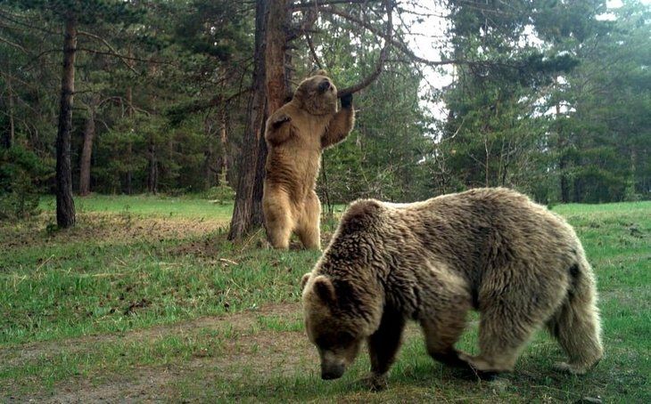 Daha önce böylesi görülmedi! Yolda yürürken karşısına çıktı 16