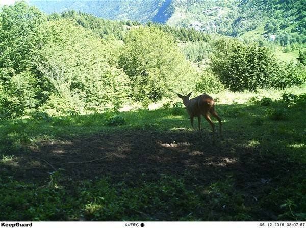 Daha önce böylesi görülmedi! Yolda yürürken karşısına çıktı 20