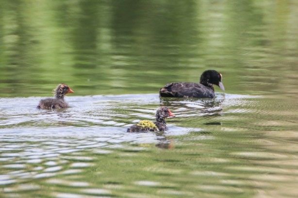 Buzullar eridi! Ortaya bu görüntüler çıktı 10