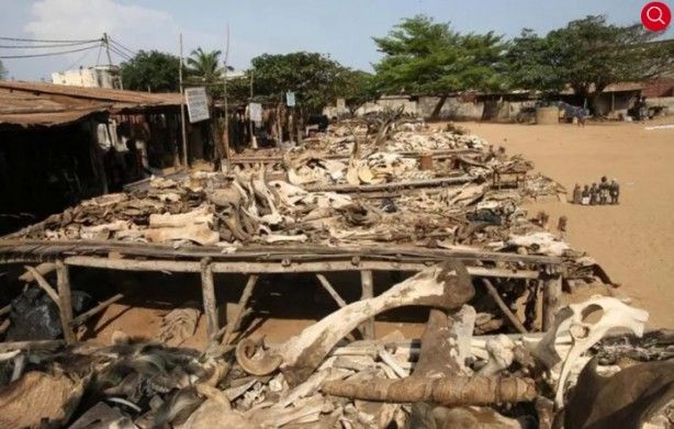 İşte dünyanın en korkutucu yerleri 12