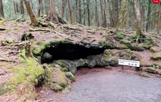 İşte dünyanın en korkutucu yerleri 18