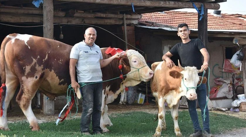Görenler bir daha bakıyor! Araba fiyatına satışa çıkarıldı 1