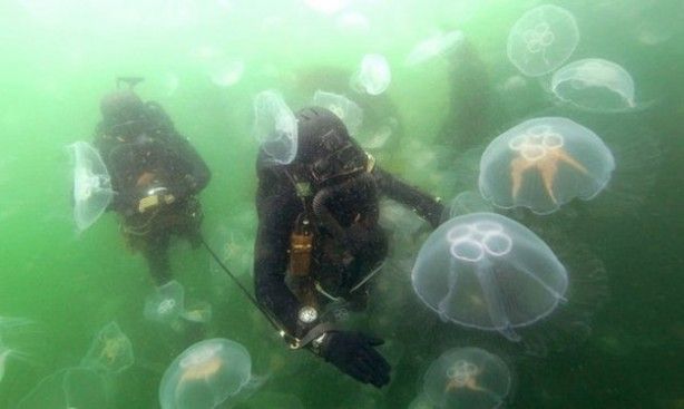 İşte dünyanın en güçlü 25 özel birliği... 22