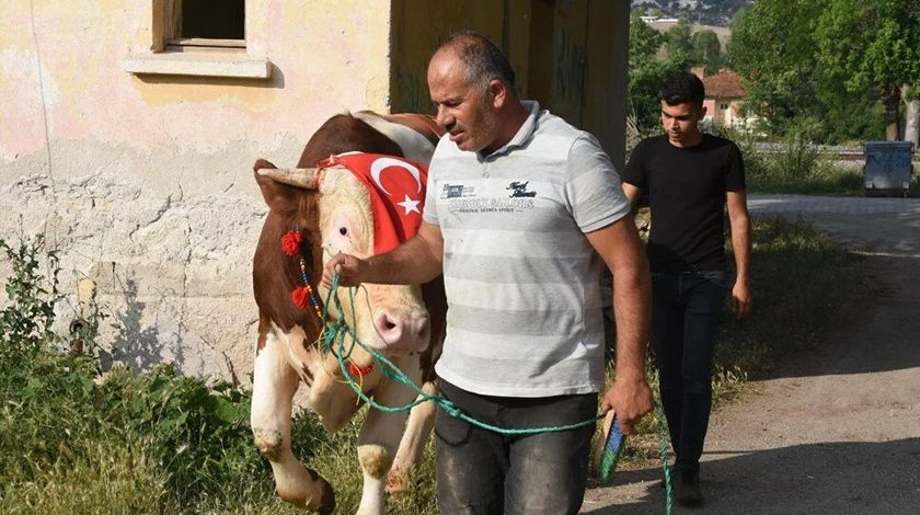 Görenler bir daha bakıyor! Araba fiyatına satışa çıkarıldı 2