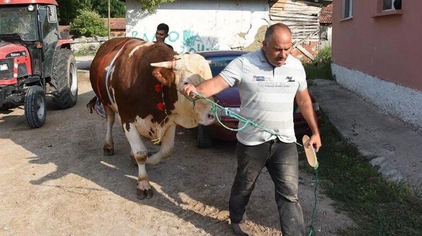 Görenler bir daha bakıyor! Araba fiyatına satışa çıkarıldı 3