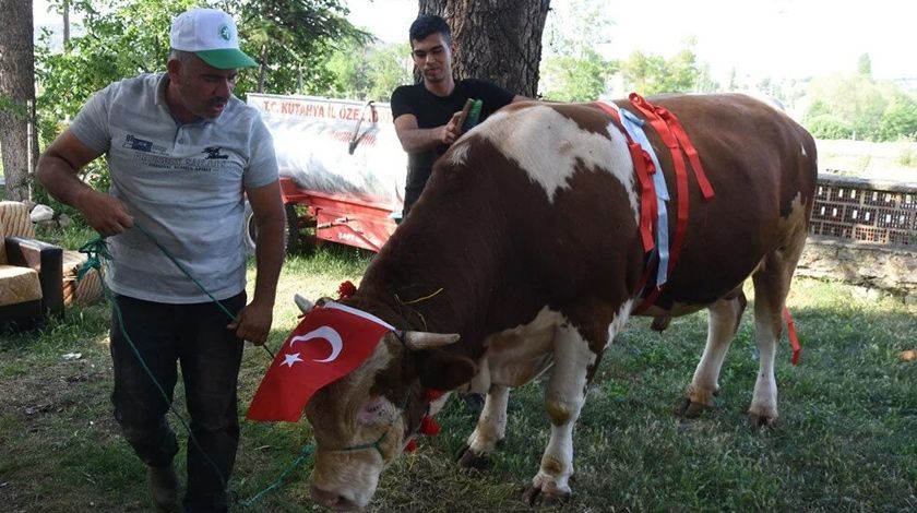 Görenler bir daha bakıyor! Araba fiyatına satışa çıkarıldı 6