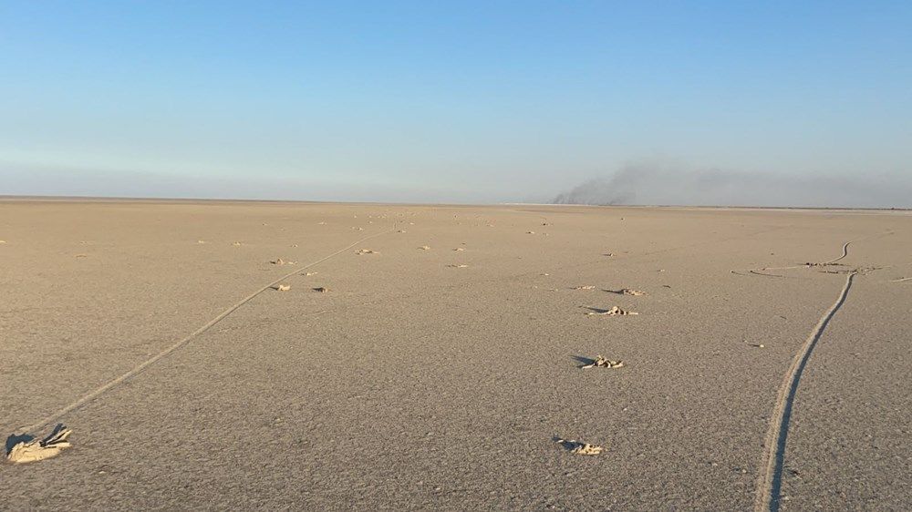 Şoke eden görüntü! Yüzlercesi ölü bulundu 5