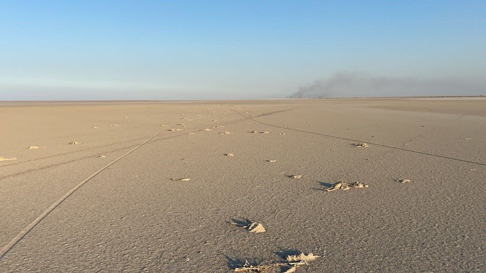 Şoke eden görüntü! Yüzlercesi ölü bulundu 7