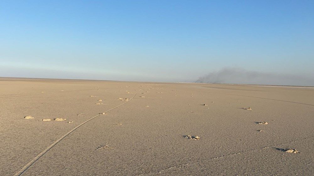 Şoke eden görüntü! Yüzlercesi ölü bulundu 2