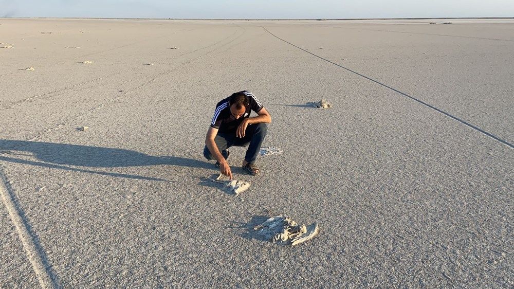 Şoke eden görüntü! Yüzlercesi ölü bulundu 12