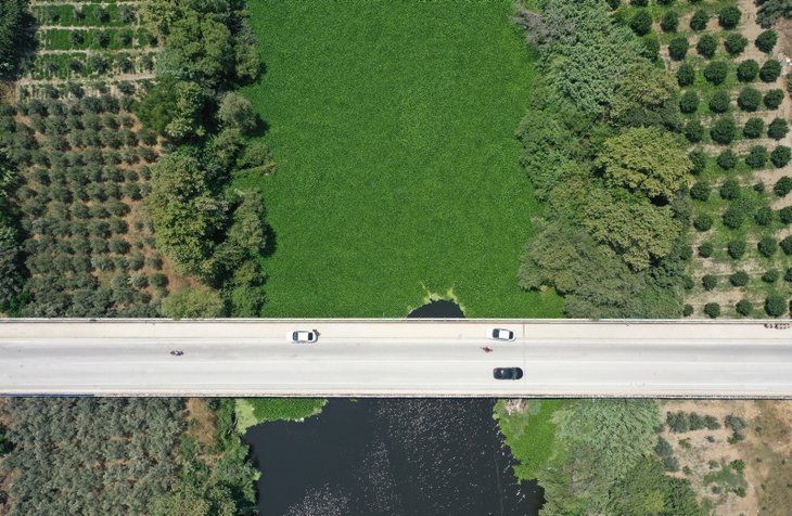 Yeni tehlike! Yüzeyi tamamen kapladı 5