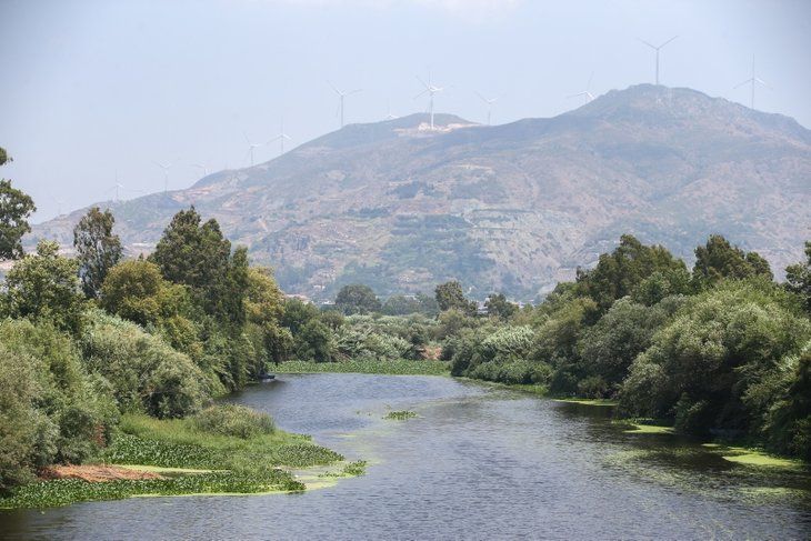 Yeni tehlike! Yüzeyi tamamen kapladı 8