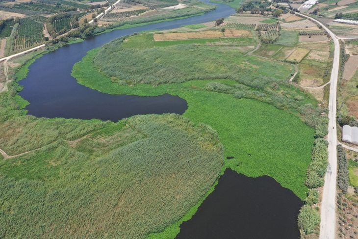 Yeni tehlike! Yüzeyi tamamen kapladı 10