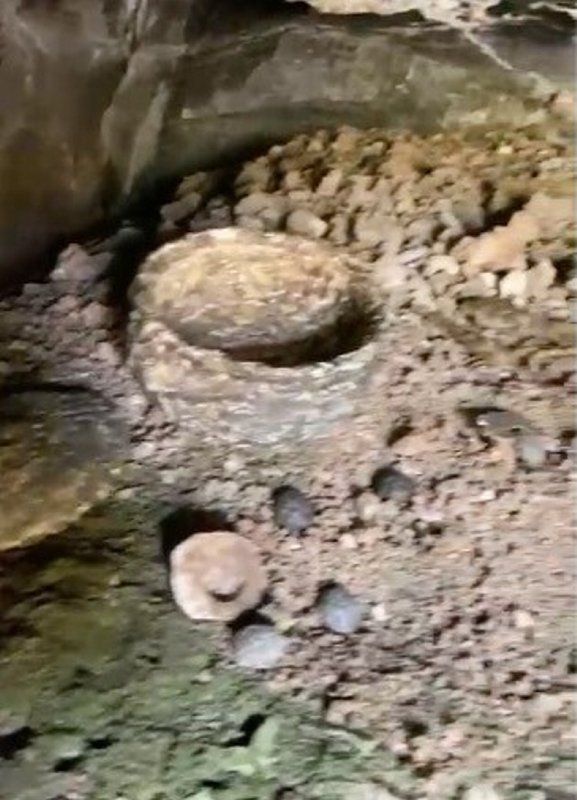 Çoban toprak kayınca keşfetti! Milattan önce 10 bin yılından kalma 5