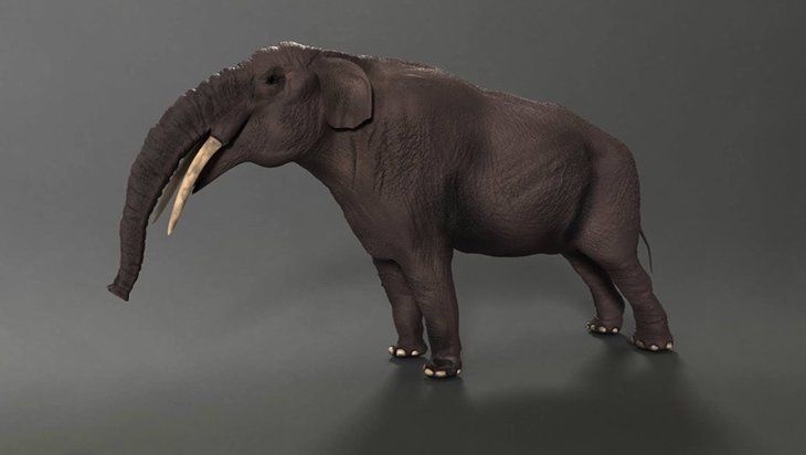 Çoban toprak kayınca keşfetti! Milattan önce 10 bin yılından kalma 10