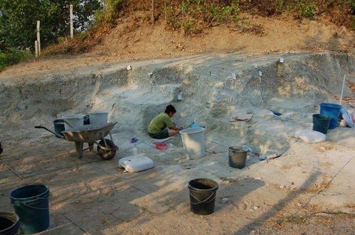 Çoban toprak kayınca keşfetti! Milattan önce 10 bin yılından kalma 2