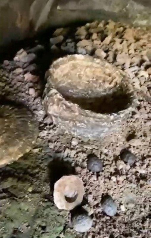 Çoban toprak kayınca keşfetti! Milattan önce 10 bin yılından kalma 12