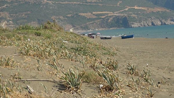 Bu çiçeği koparana 80 bin TL ceza 5