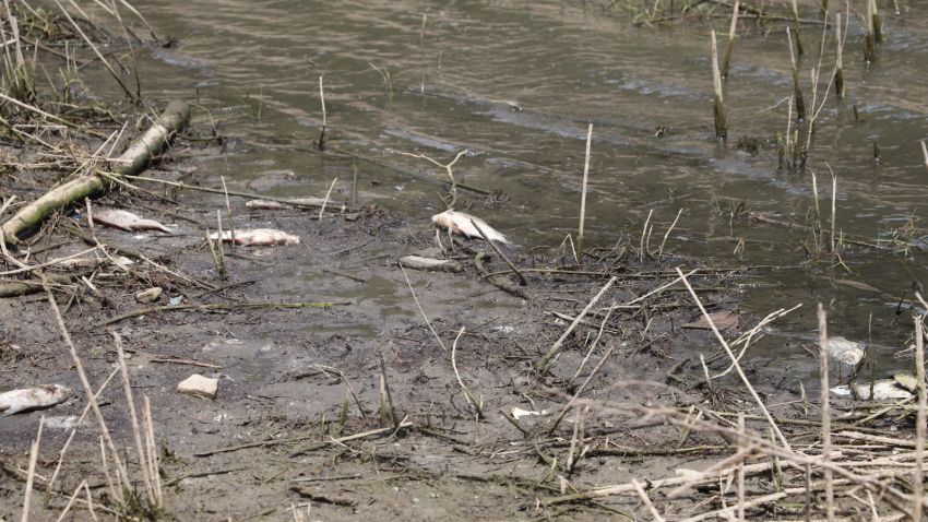 Korkutan görüntü! Çoğu ölü bulundu 1