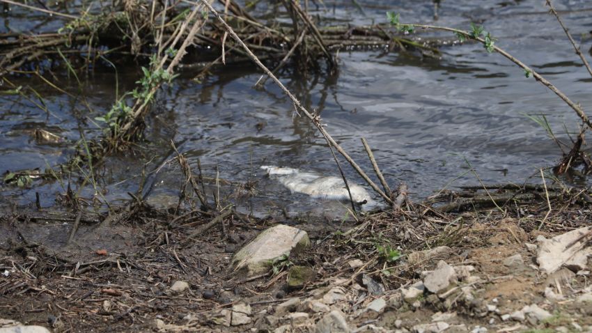 Korkutan görüntü! Çoğu ölü bulundu 2