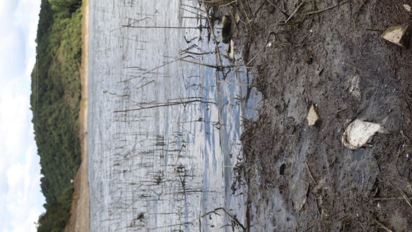 Korkutan görüntü! Çoğu ölü bulundu 6