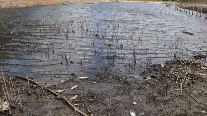 Korkutan görüntü! Çoğu ölü bulundu 9