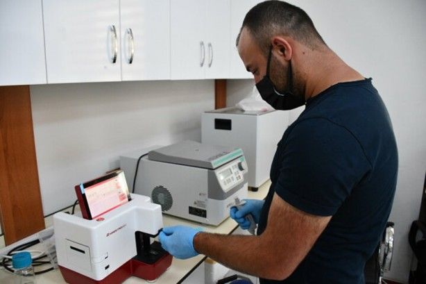 Güney Kore'den getirildi! Kazancı katlayacak 1