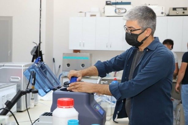 Güney Kore'den getirildi! Kazancı katlayacak 10