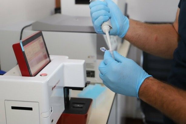 Güney Kore'den getirildi! Kazancı katlayacak 11