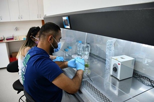 Güney Kore'den getirildi! Kazancı katlayacak 4