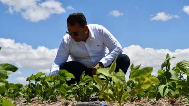 Güney Kore'den getirildi! Kazancı katlayacak 9