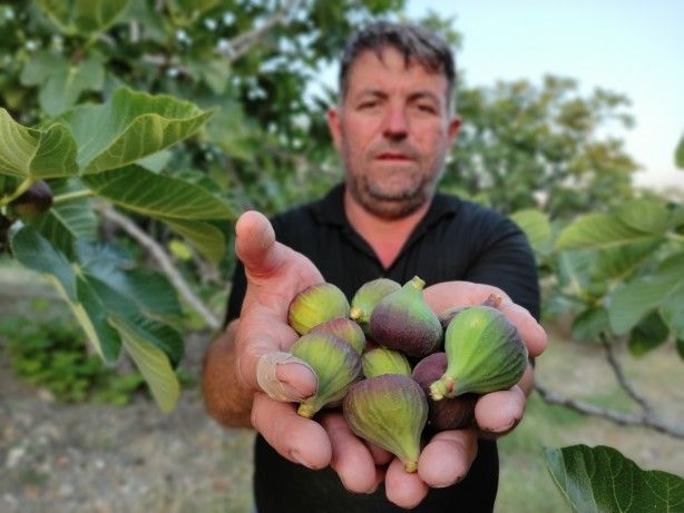 Vatandaşlar endişeli! Dökülmeye başladılar 4