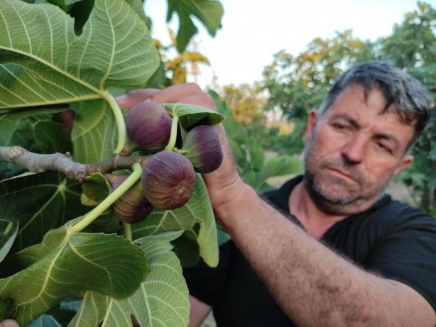 Vatandaşlar endişeli! Dökülmeye başladılar 5