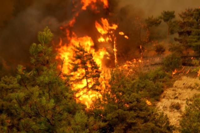 Vatandaşlar canlarını zor kurtardı! 6