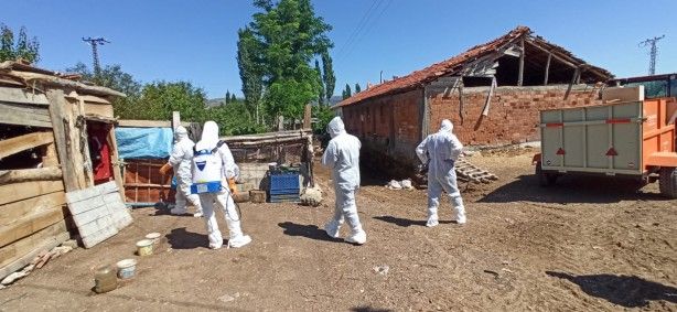 O ilimizde kuş gribi şüphesi! 2