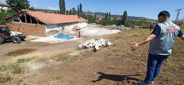 O ilimizde kuş gribi şüphesi! 1