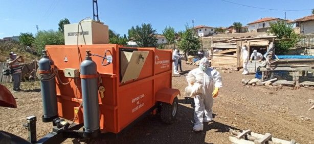 O ilimizde kuş gribi şüphesi! 3