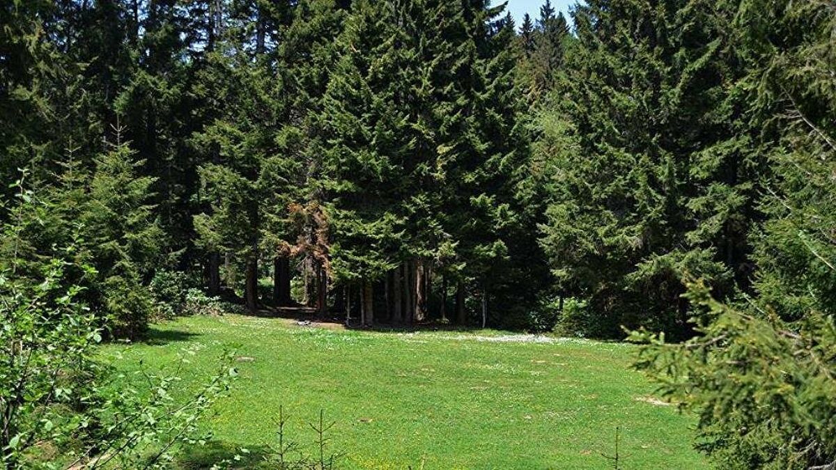 Valilik duyurdu! Bir ilde daha orman yasağı 3