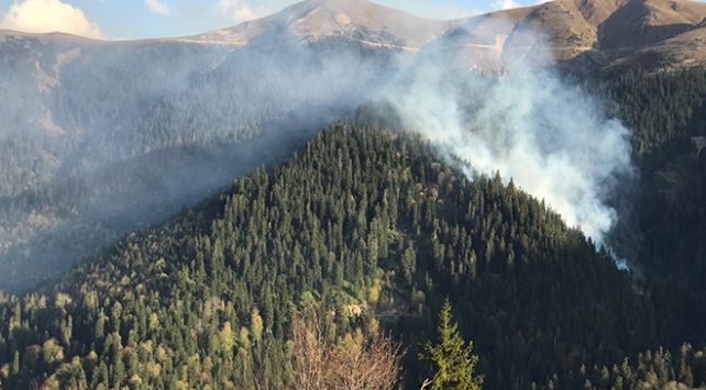 Valilik duyurdu! Bir ilde daha orman yasağı 2