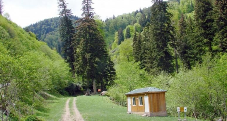 Valilik duyurdu! Bir ilde daha orman yasağı 5