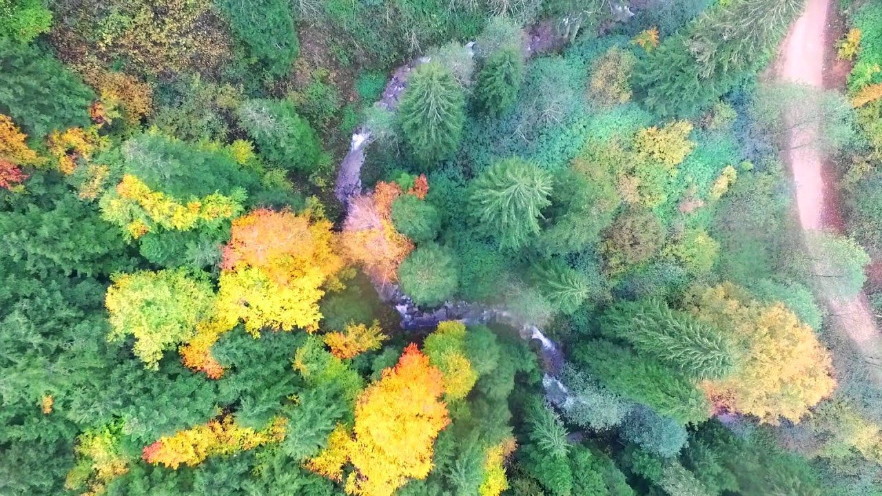 Valilik duyurdu! Bir ilde daha orman yasağı 6