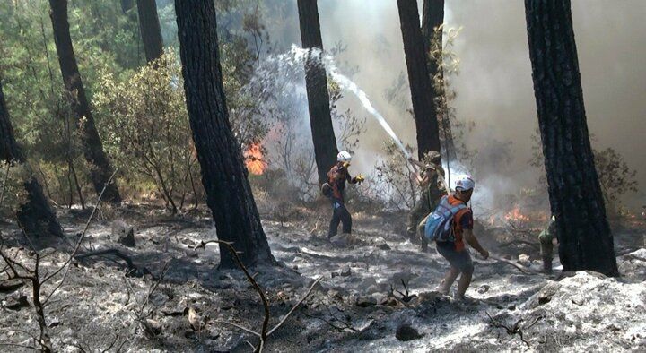 Yangınlara ‘Gardaş' müdahalesi! Alevlerin arasına daldılar 1