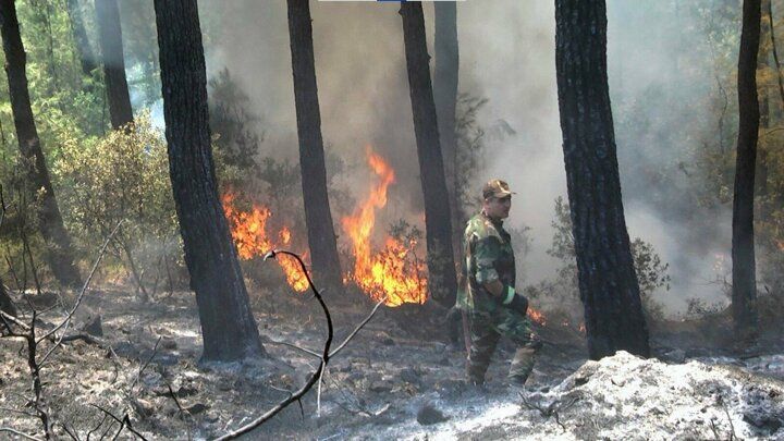 Yangınlara ‘Gardaş' müdahalesi! Alevlerin arasına daldılar 11