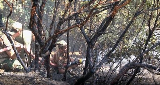 Yangınlara ‘Gardaş' müdahalesi! Alevlerin arasına daldılar 13