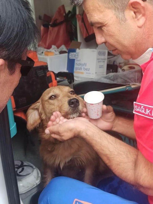 Yangın nöbetinde en ön saftalar! 13