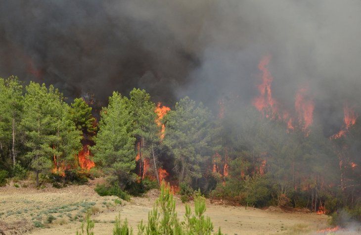 Yangın nöbetinde en ön saftalar! 17