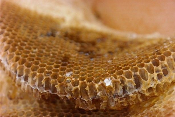 Aman dikkat! Ağzınıza bile sürmeyin 2