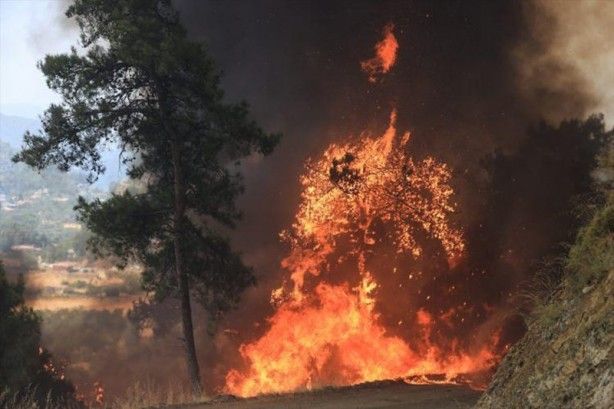 İç acıtan kareler! Havadan görüntülendi 27